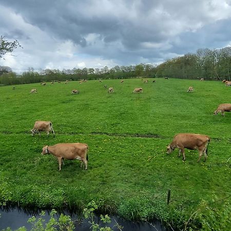 B&B In De Roos Noordbergum Eksteriør bilde