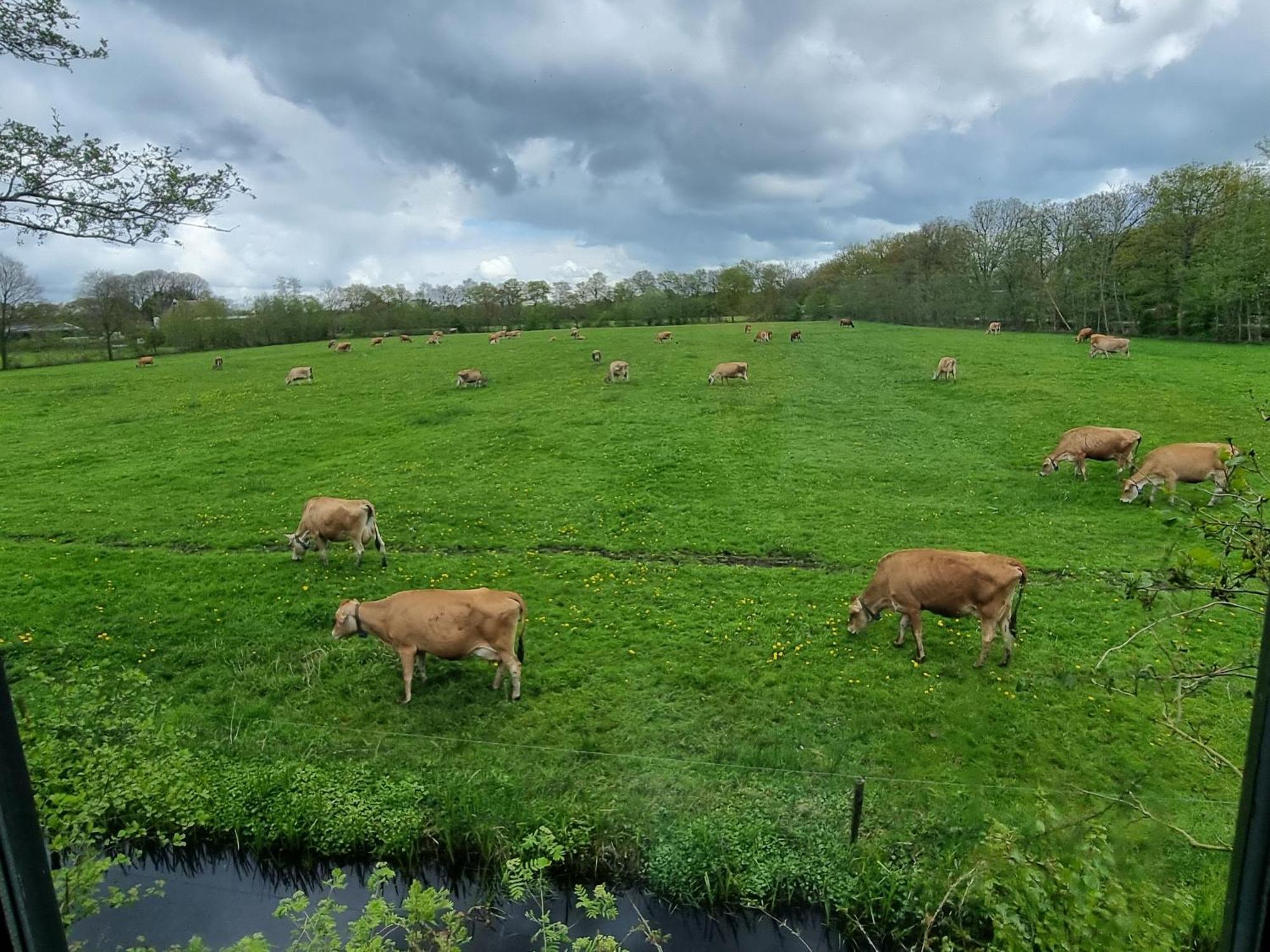 B&B In De Roos Noordbergum Eksteriør bilde